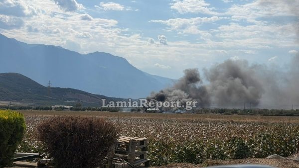 fotia-lamia1.jpg