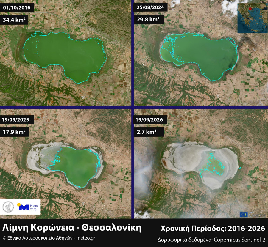 korwneia20262026panel.jpg