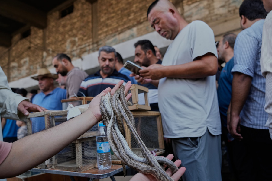 Στιγμιότυπο από την Καθημερινότητα στο Ιράκ 