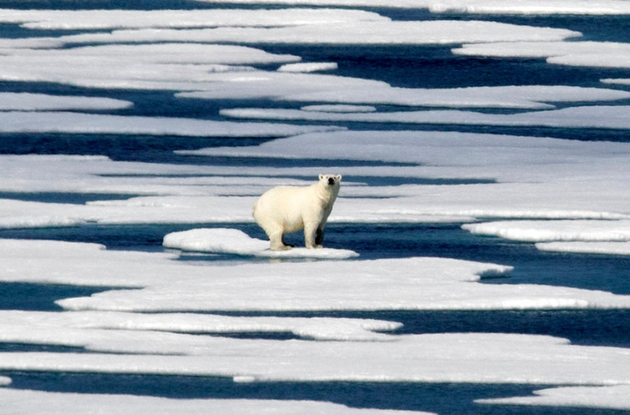 New Arctic