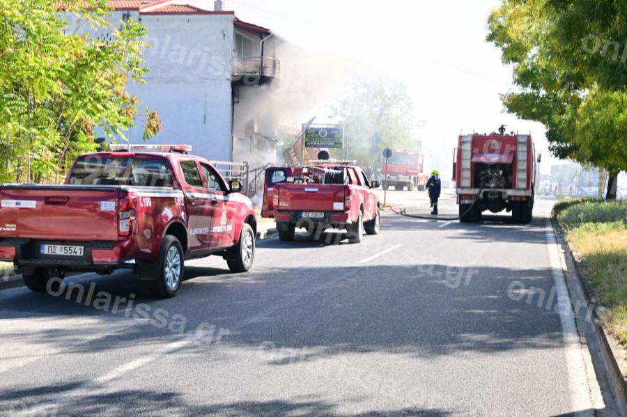 fotia-3.jpg