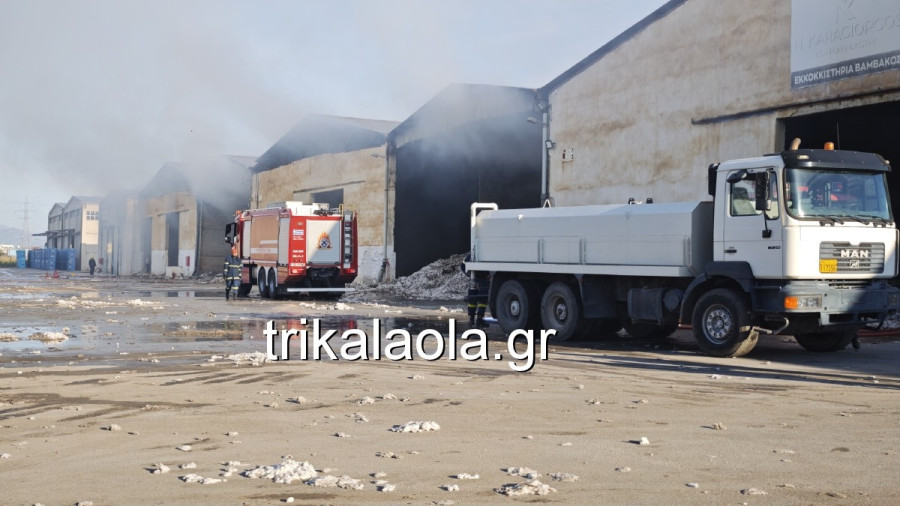 fotia-ekkokkhsthria-2026-20.jpg