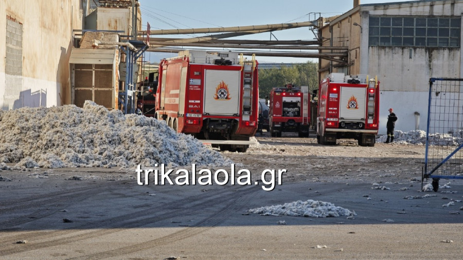 fotia-ekkokkhsthria-2026-23.jpg