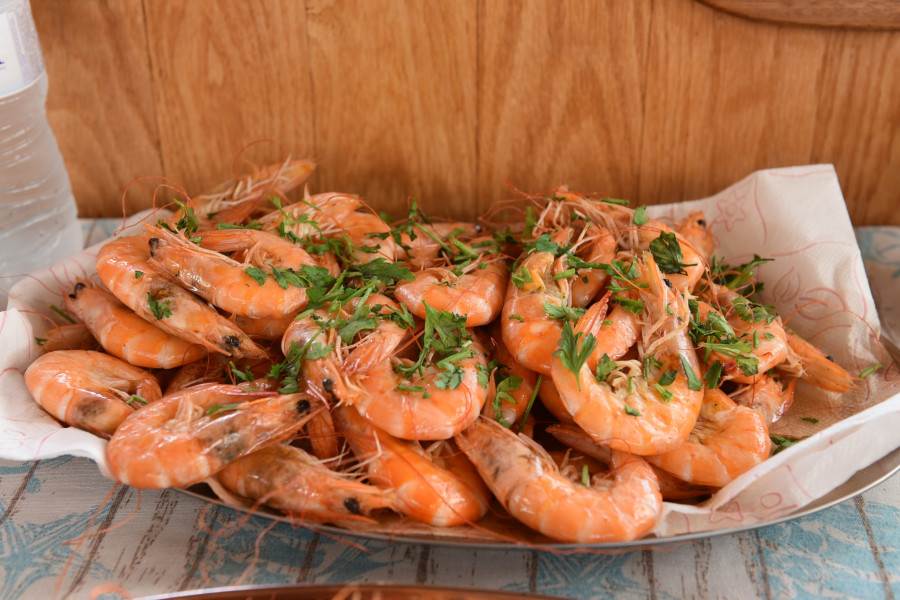ΚΡΟΥΑΖΙΕΡΑ ΣΤΟΝ ΑΜΒΡΑΚΙΚΟ ΚΟΛΠΟ ΣΤΗΝ ΠΡΕΒΕΖΑ