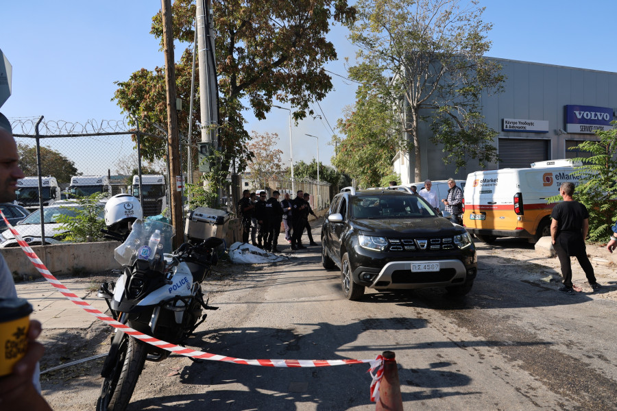 φωτιά αιγάλεω, ελαιώνας