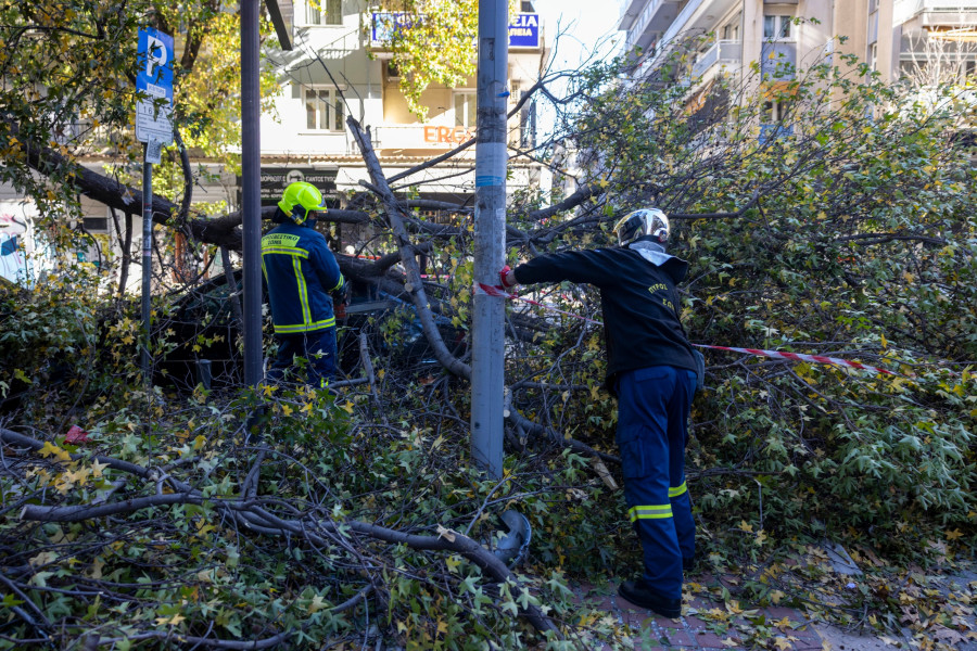 [383360] ΙΣΧΥΡΟΙ ΑΝΕΜΟΙ ΣΤΗΝ ΘΕΣΣΑΛΟΝΙΚΗ - ΔΕΝΤΡΟ ΕΠΕΣΕ ΣΕ ΕΝ ΚΙΝΗΣΕΙ ΑΥΤΟΚΙΝΗΤΟ ΣΤΗΝ Β. ΓΕΩΡΓΙΟΥ