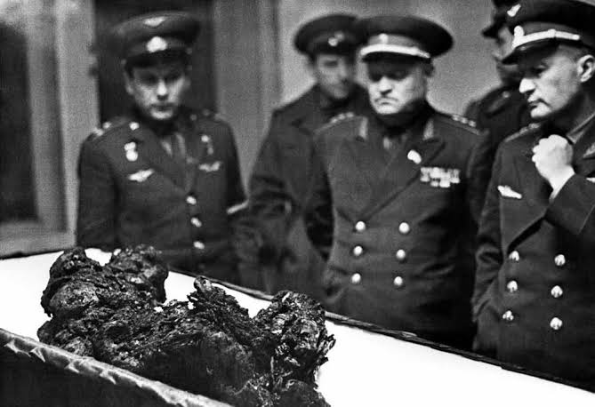 vladimir-mikhaylovich-komarov.jpg