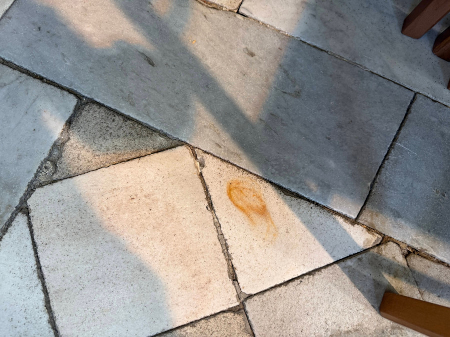 img4900.jpg