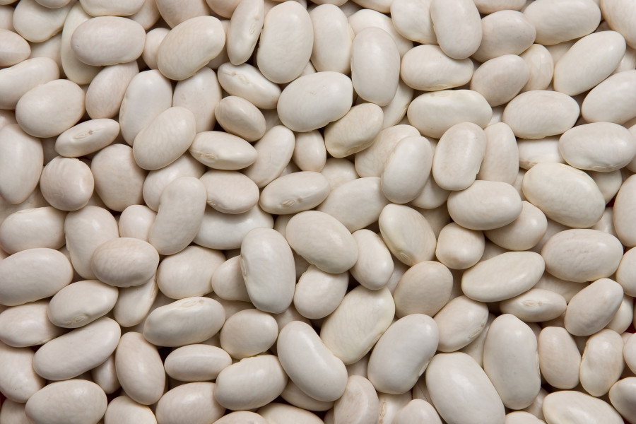 Λευκά ξερά φασόλια (white kidney beans)