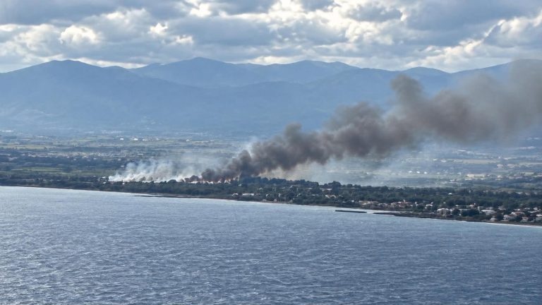 kalamata-2-768x432.jpg