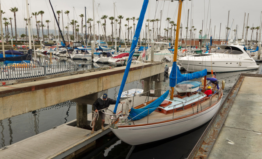 Yatch Race Deaths