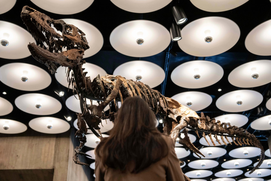 Mini T-Rex Auction