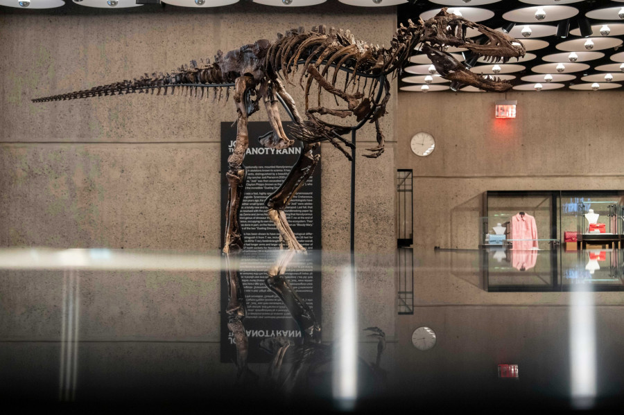 Mini T-Rex Auction