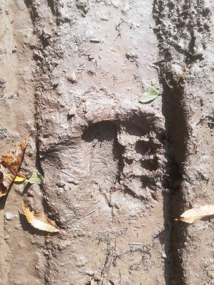 202610282336031752.jpeg