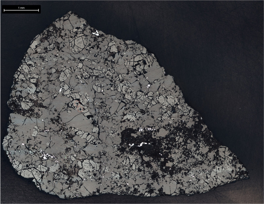 teg001bsea.jpg