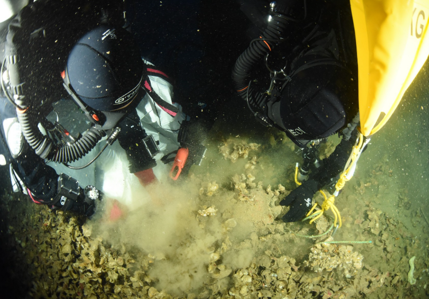 ΝΑΥΑΓΙΟ ΒΡΕΤΑΝΙΚΟΥ