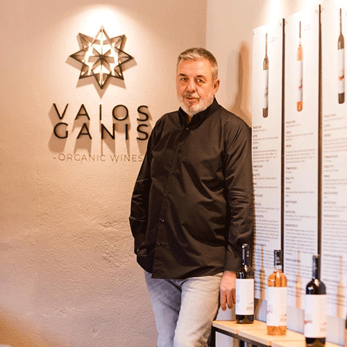 vaios-ganis.gif