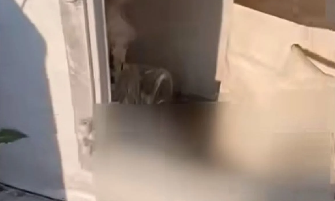 Ημαθία: Έκρυβε ναρκωτικά σε... νεκροταφείο