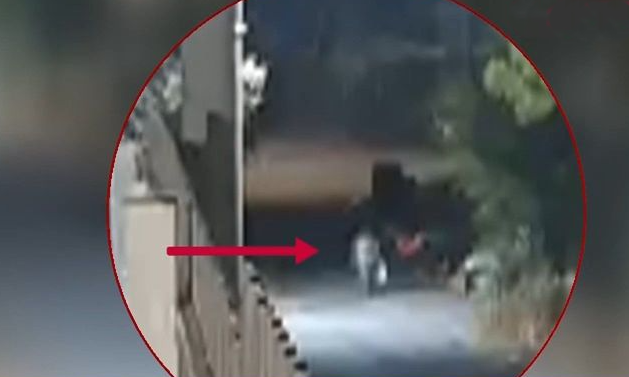 Φωτιά στην Άνοιξη: Καρέ καρέ ο εμπρησμός από τον 50χρονο που φεύγει ατάραχος
