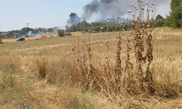 Θεσσαλονίκη: Φωτιά στο Μελισσοχώρι - Άμεση κινητοποίηση της Πυροσβεστικής