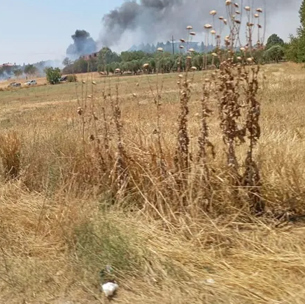 Θεσσαλονίκη: Φωτιά στο Μελισσοχώρι - Άμεση κινητοποίηση της Πυροσβεστικής