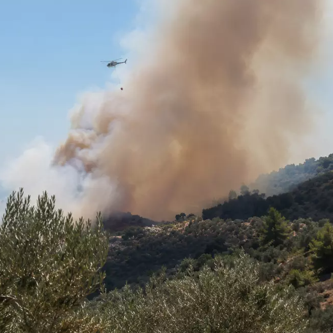 Φωτιά στη Μυτιλήνη: Ενισχύθηκαν οι δυνάμεις στο Πλωμάρι - Επιχειρούν έξι ενάερια μέσα