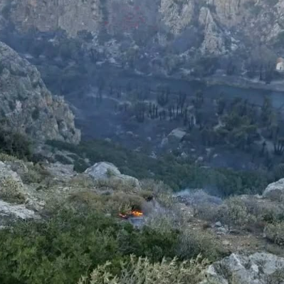 Φωτιά στο Ρέθυμνο: Πληροφορίες ότι κάηκε πάνω από το 80% του φοινικόδασους στην Πρέβελη