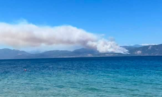 Φωτιά στο Σκάλωμα Φωκίδας -  Μεγάλη κινητοποίηση της Πυροσβεστικής