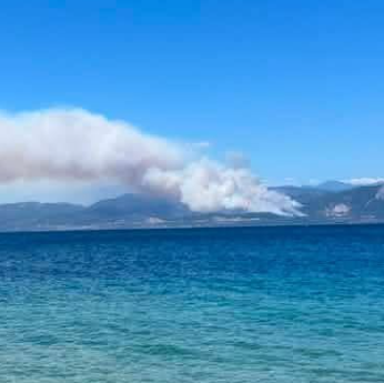 Φωτιά στο Σκάλωμα Φωκίδας -  Μεγάλη κινητοποίηση της Πυροσβεστικής