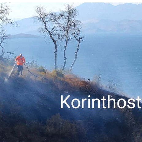 Κορινθία: Οριοθετήθηκε η φωτιά στις Βαμβακές