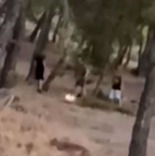 Άνω Βριλήσσια: Έβαζαν φωτιά στο δάσος για «challenge» -  Ταυτοποιήθηκαν τρεις 13χρονοι