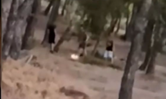 Άνω Βριλήσσια: Έβαζαν φωτιά στο δάσος για «challenge» -  Ταυτοποιήθηκαν τρεις 13χρονοι