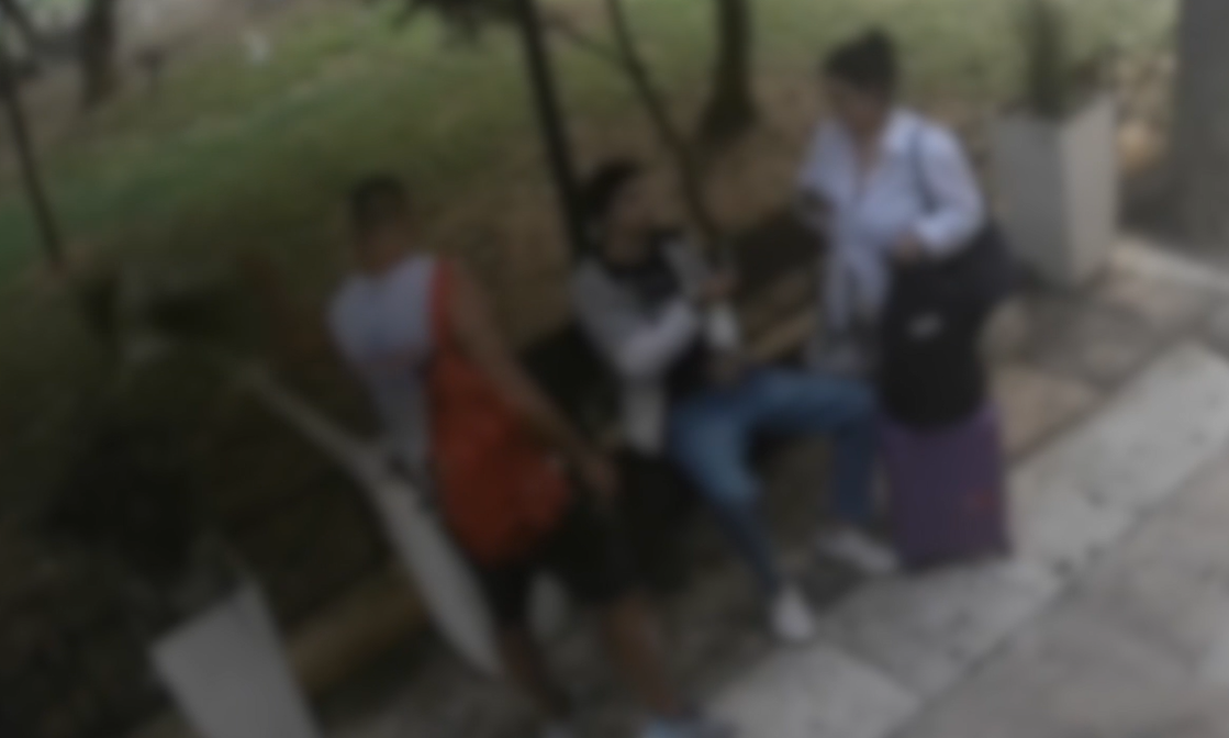Χανιά: Ξερίζωσε φυτά έξω από κατάστημα και έφυγε σαν να μην συνέβη τίποτα – Βίντεο