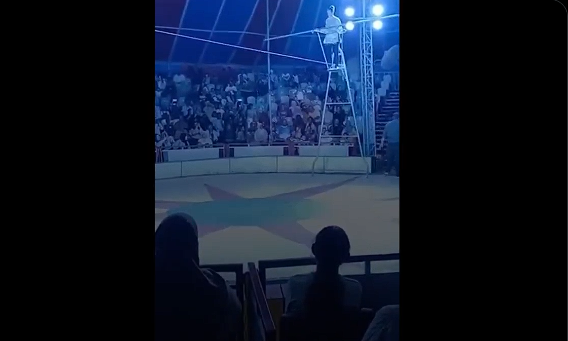 Ακροβατικά για γερά νεύρα - Η στιγμή που ακροβάτισσα πέφτει μπροστά στο κοινό