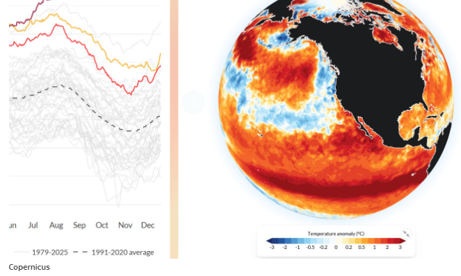 Super El Niño: Σπάει ρεκόρ χιλιάδων ετών – NOAA:  Ιστορικά υψηλή ένταση μεταξύ Οκτωβρίου -Δεκεμβρίου