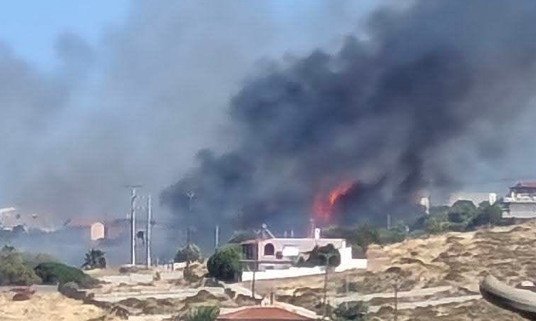 Φωτιά στο Λαύριο: 112 για εκκένωση οικισμών – Κοντά σε σπίτια οι φλόγες