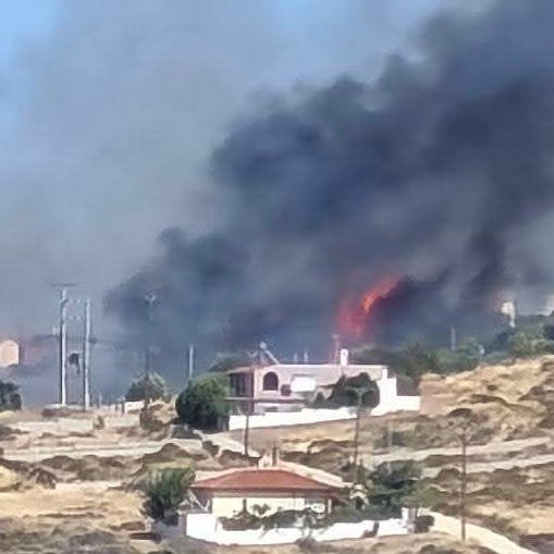 Φωτιά στο Λαύριο: 112 για εκκένωση οικισμών – Κοντά σε σπίτια οι φλόγες