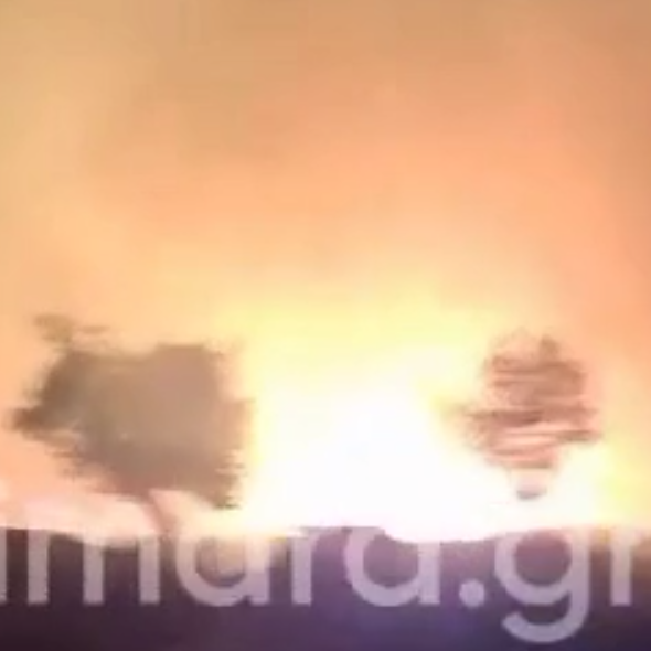 Χειμάρρα: Πυρκαγιά απειλεί κατοικημένες περιοχές