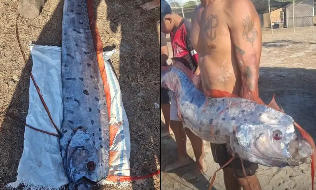 Το θρυλικό ψάρι της Αποκάλυψης ξεβράστηκε σε ακτή: Τι συνέβη μέσα σε μόλις 6 μέρες