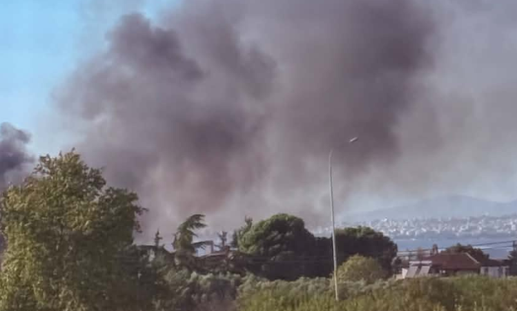 Φωτιά τώρα στο Νέο Ρύσιο Θεσσαλονίκης