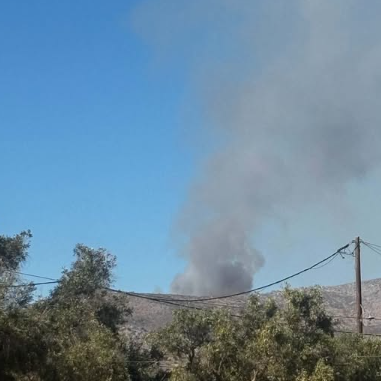 Μέγαρα: Ενισχύθηκαν οι δυνάμεις πυρόσβεσης - Μαίνεται η φωτιά σε δασική έκταση