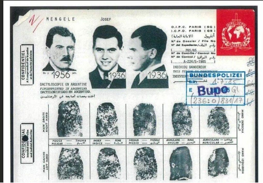 mengele.png