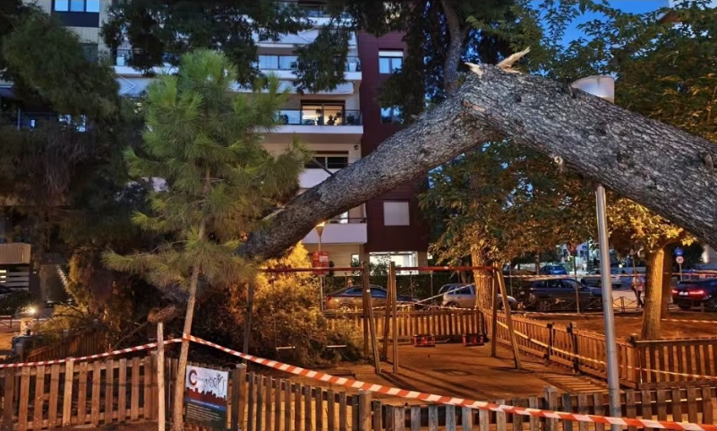 Θεσσαλονίκη: Εισαγγελική έρευνα για την πτώση δέντρου σε παιδική χαρά στην Καλαμαριά