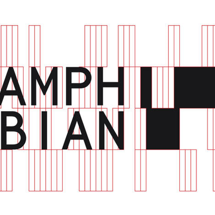 Amphibian: Ένα μοναδικό παγκοσμίως project