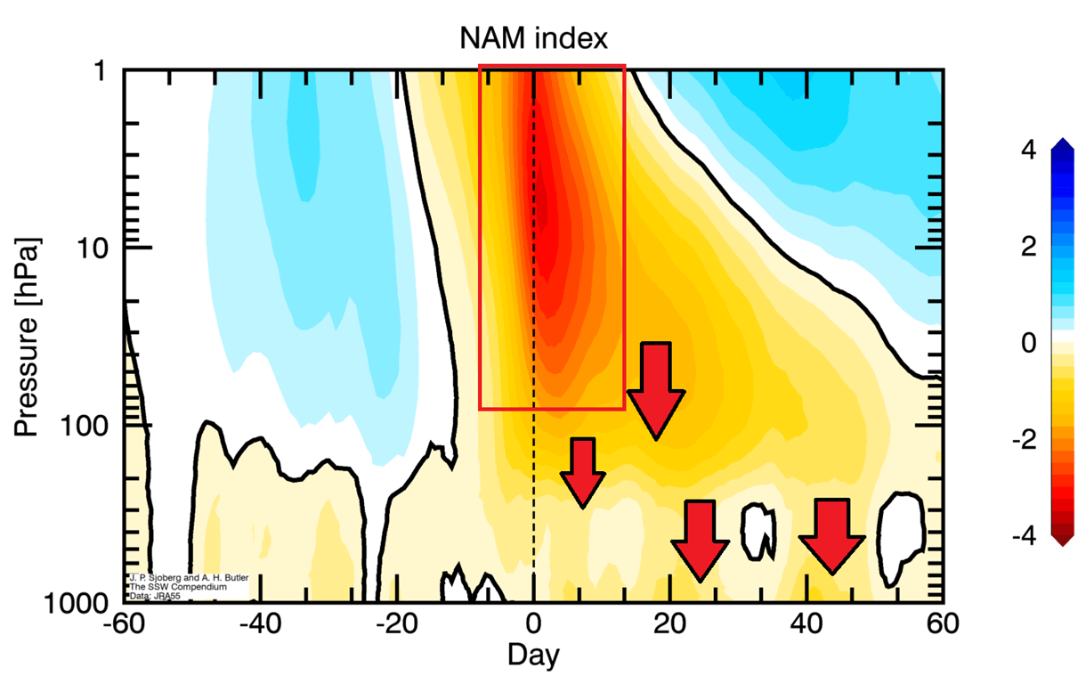 stratospheric-warming-event-timeline-schematic-atmosphere-vertical-pressure-anomaly-change-united-states-canada-pattern-winter.png