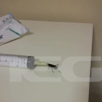 Θεσσαλονίκη: Κατσαρίδες και μουχλιασμένα φαγητά σε παραρτήματα της κλινικής με τις χημειοθεραπείες