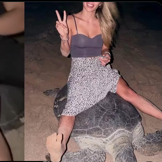 Ζευγάρι Ουκρανών έγινε viral στο Ομάν και συνελήφθη στο αεροδρόμιο - Η «πλάκα» με τη χελώνα