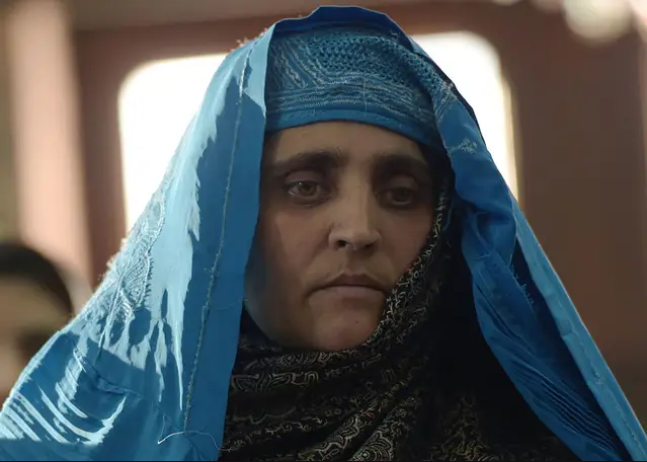 sharbat16.png