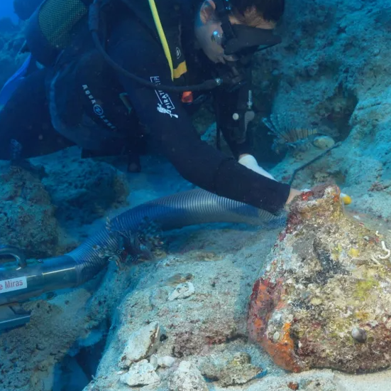 Το αρχαιότερο ναυάγιο στον κόσμο εντοπίστηκε στα ανοιχτά της Τουρκίας